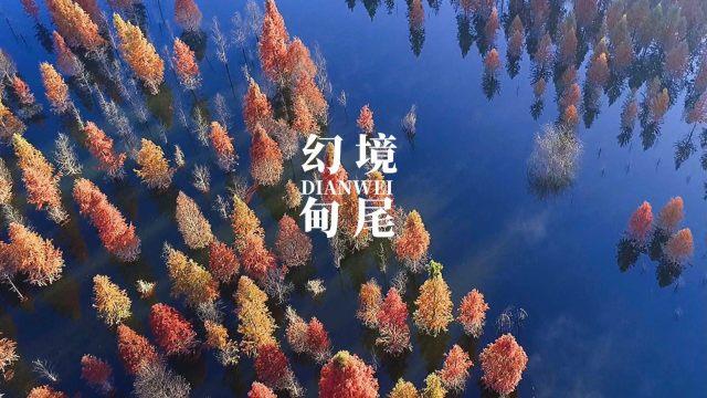 机智问答网页-河北乐亭县清朝归哪管精彩解答