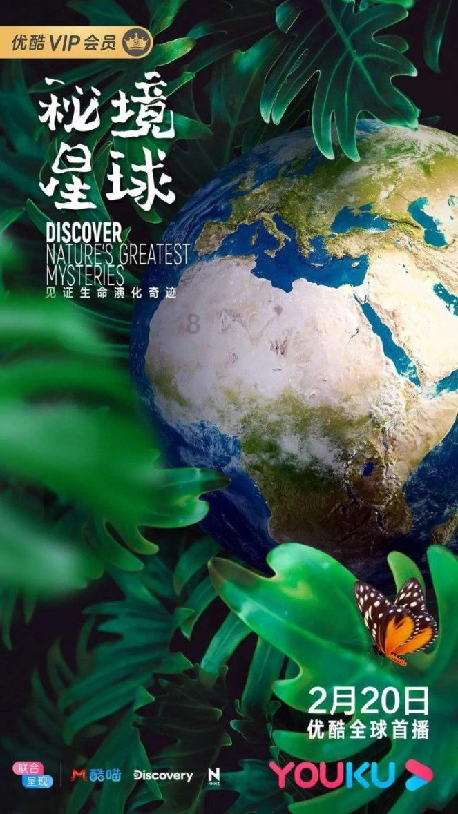 加入西安斯维教育培训学校,畅享知识星球平台