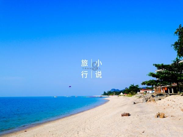 探索交流,尽在为什么我的栀子花每次都长三片叶子?