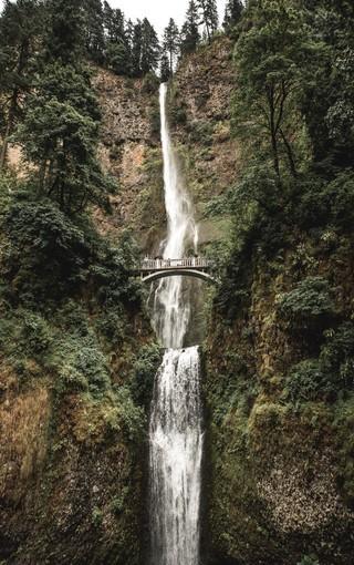 沪江开心词场